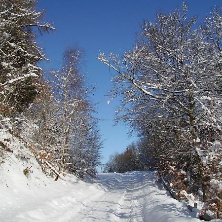 Ferienwohnung Sauerlandblick Goldhausen Dış mekan fotoğraf