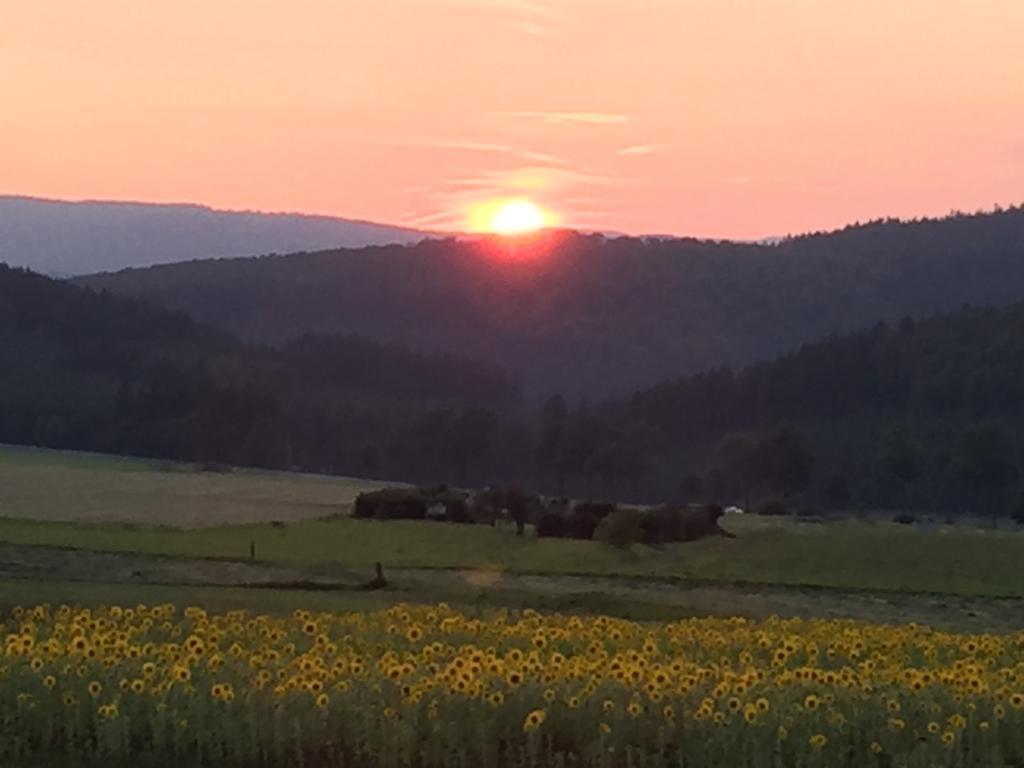 Ferienwohnung Sauerlandblick Goldhausen Dış mekan fotoğraf